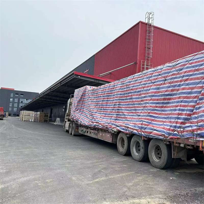 灵宝市渝中区物流：多元服务与运输线路探秘
