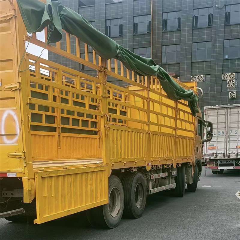 灵宝市兰州市物流运输：多元服务与高效线路探秘